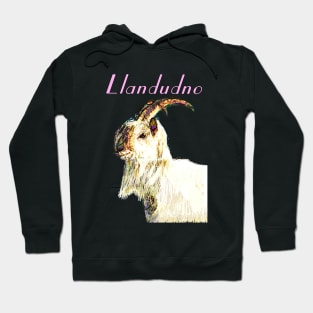 LLANDUDNO GREAT ORME GOAT PINK Hoodie